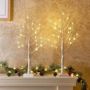 Christmas Decorations Indoor 2 FT Birch Tree with LED Lights for Home Décor